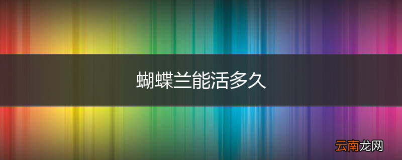 蝴蝶兰能活多久