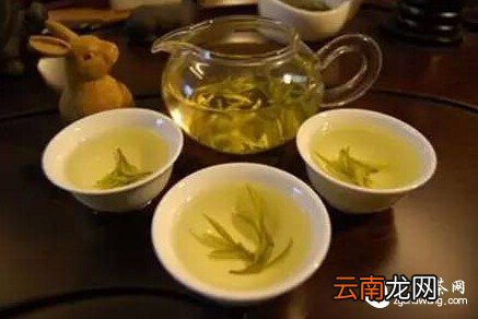 茶香隐隐话养生——健康就要喝出来！