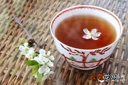 茶香隐隐话养生——健康就要喝出来！