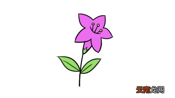 花朵简笔画简单又好看 花朵的简单画法