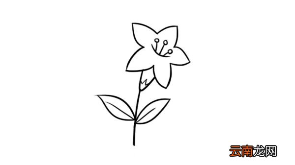花朵简笔画简单又好看 花朵的简单画法