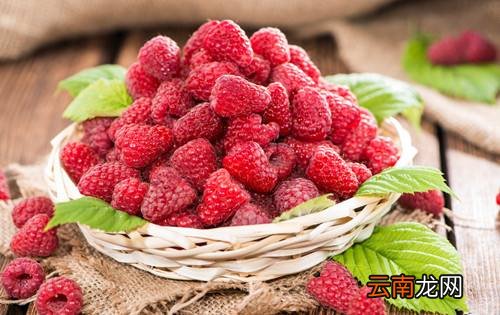 一起来看看覆盆子的功效和作用