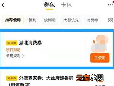 湖北消费劵美团怎么用