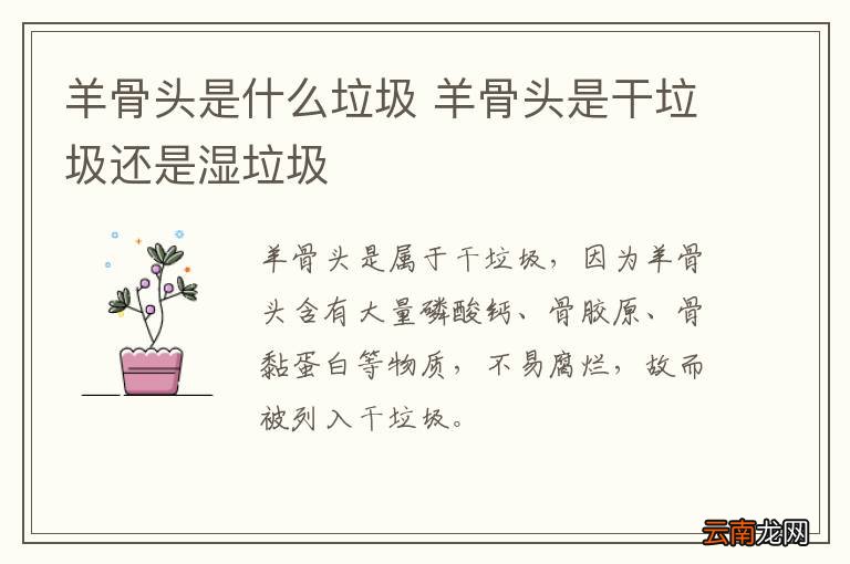 羊骨头是什么垃圾 羊骨头是干垃圾还是湿垃圾