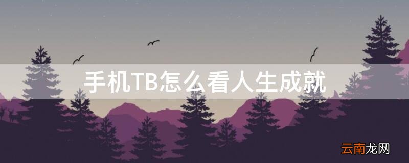 手机TB怎么看人生成就