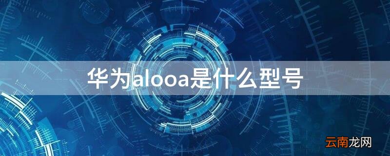 华为al00m是什么型号 华为alooa是什么型号