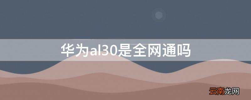 华为al30是全网通吗
