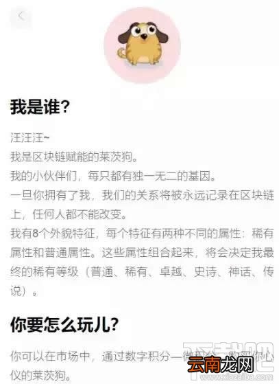 百度莱茨狗是什么？百度莱茨狗怎么购买？