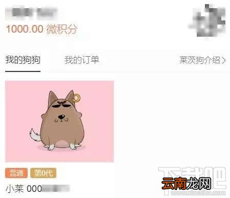 百度莱茨狗是什么？百度莱茨狗怎么购买？