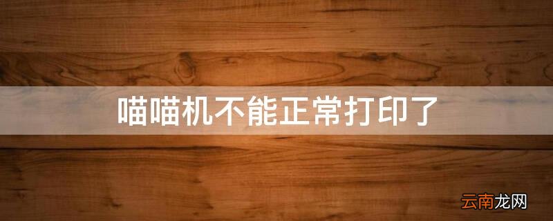 喵喵机不能正常打印了