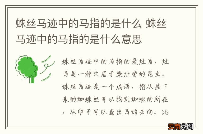 蛛丝马迹中的马指的是什么 蛛丝马迹中的马指的是什么意思