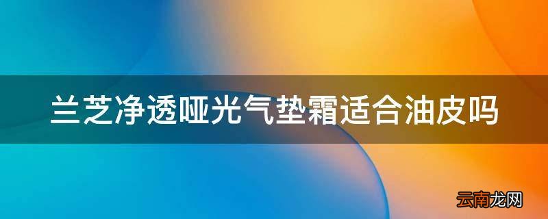 兰芝净透哑光气垫霜适合油皮吗