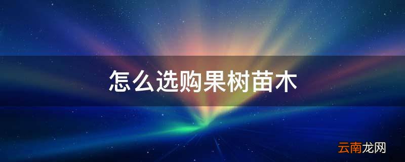 怎么选购果树苗木
