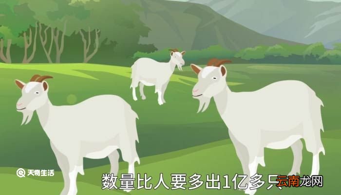世界上羊最多的国家 世界上羊最多的国家是哪里
