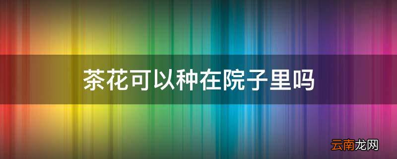 茶花可以种在院子里吗