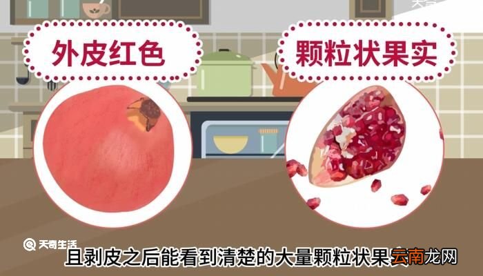 番石榴与石榴的区别 番石榴与石榴的区别是什么