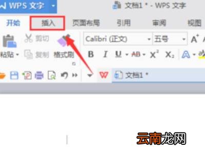 wps怎么加一条横线