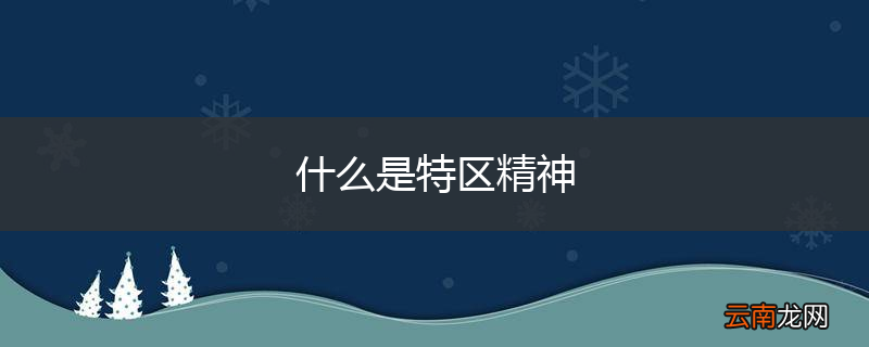 什么是特区精神