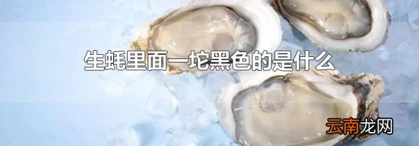 生蚝里面一坨黑色的是什么