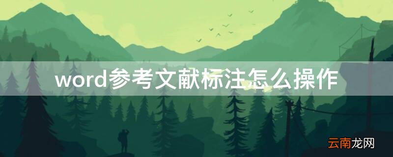 怎么用word标注参考文献 word参考文献标注怎么操作