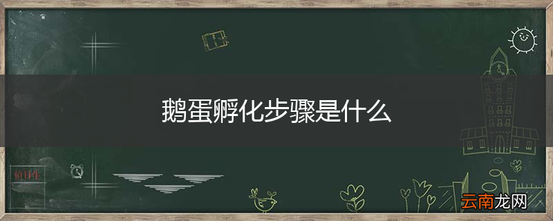 鹅蛋孵化步骤是什么