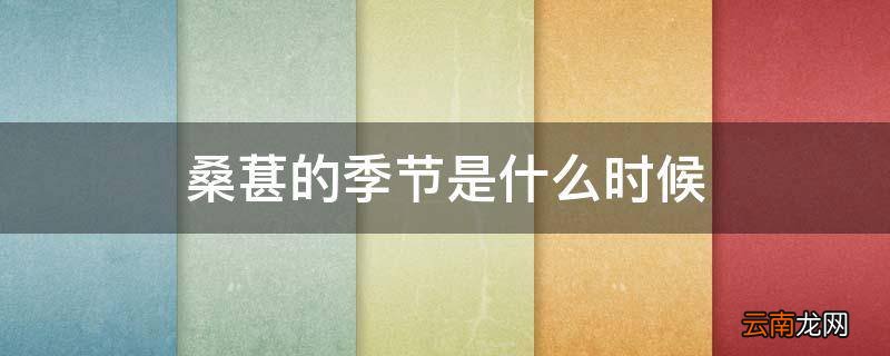 桑葚的季节是什么时候