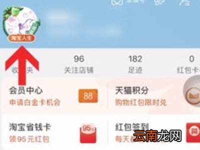 苹果手机怎么查淘宝消费总金额