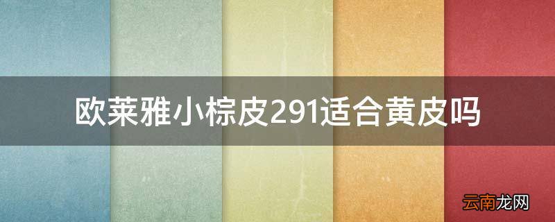 欧莱雅小棕皮291适合黄皮吗