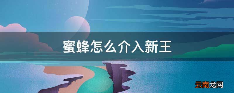 蜜蜂怎么介入新王