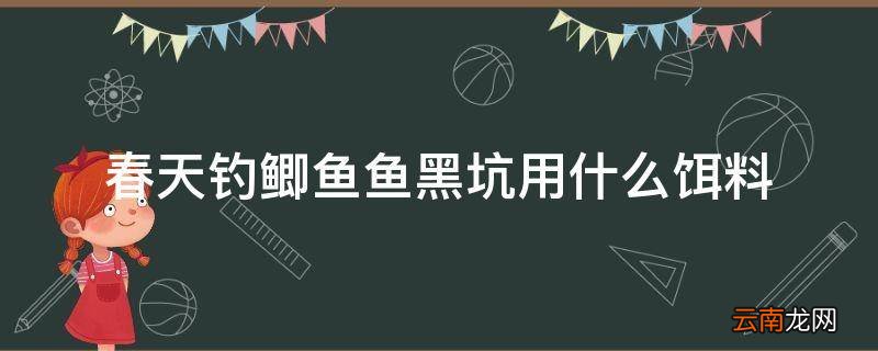 春天钓鲫鱼鱼黑坑用什么饵料