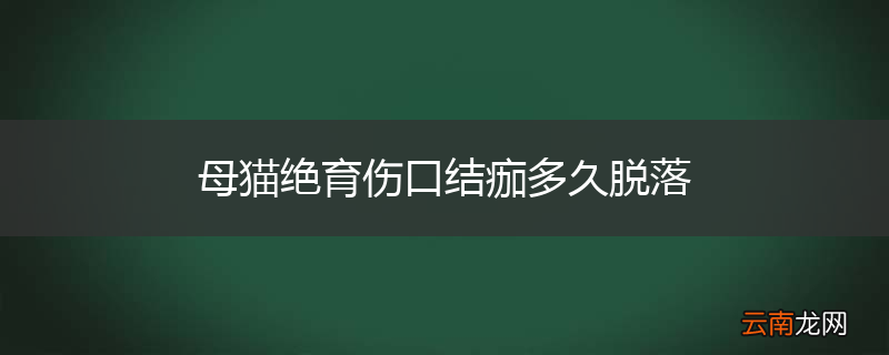 母猫绝育伤口结痂多久脱落