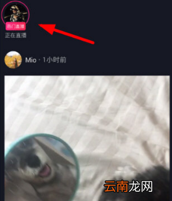 抖音粉丝团如何添加 抖音粉丝团进团介绍