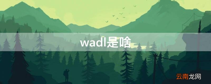 wadl是啥 wad是什么