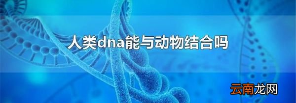 人类dna能与动物结合吗