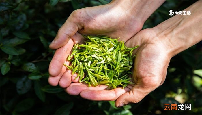中国四大名茶是哪四种 中国四大名茶是指的哪四种