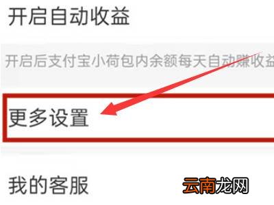 支付宝小荷包在哪里关闭