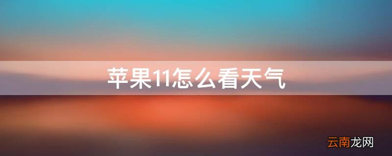 苹果手机11怎么看天气预报 iPhone11怎么看天气