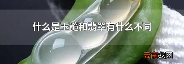 什么是玉髓和翡翠有什么不同