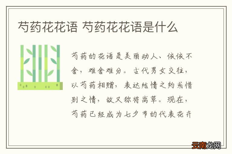 芍药花花语 芍药花花语是什么