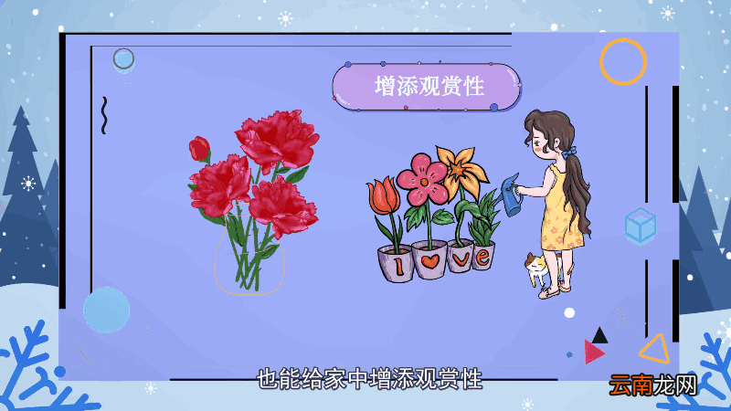 芍药花花语 芍药花花语是什么