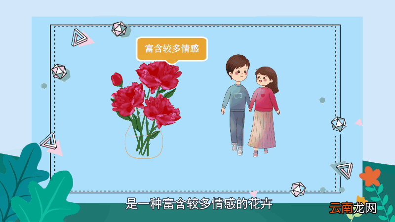 芍药花花语 芍药花花语是什么