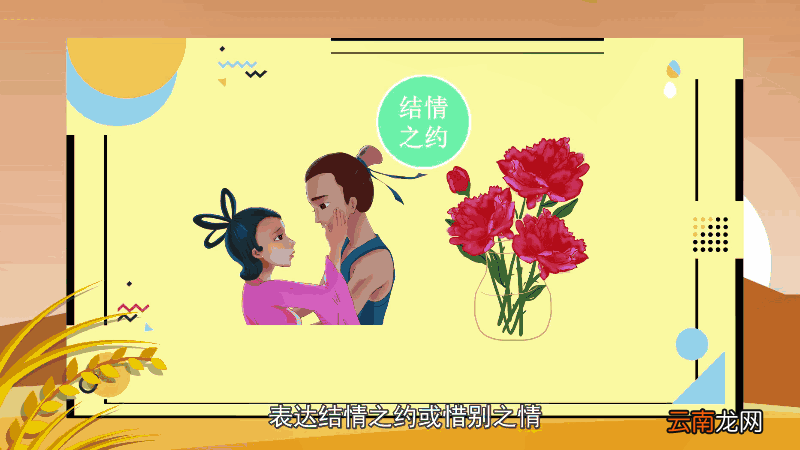 芍药花花语 芍药花花语是什么