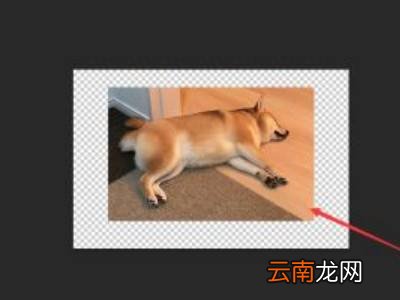 ps怎么载入选区