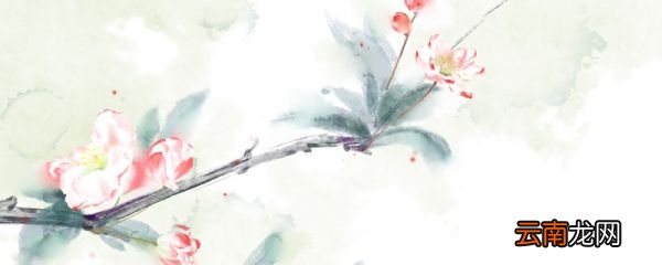 夕颜花 夕颜花是什么