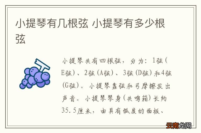 小提琴有几根弦 小提琴有多少根弦