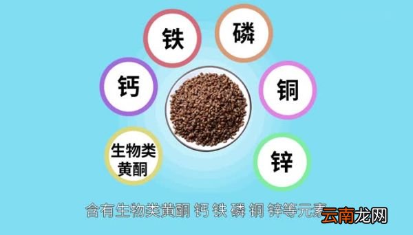 苦荞的功效与作用 苦荞的好处