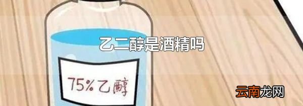乙二醇是酒精吗