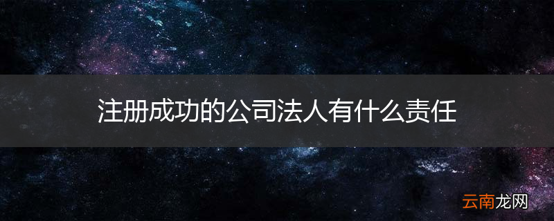 注册成功的公司法人有什么责任