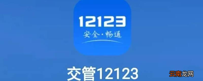 交罚款app叫什么软件