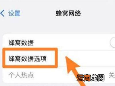 苹果13怎么设置5g网络